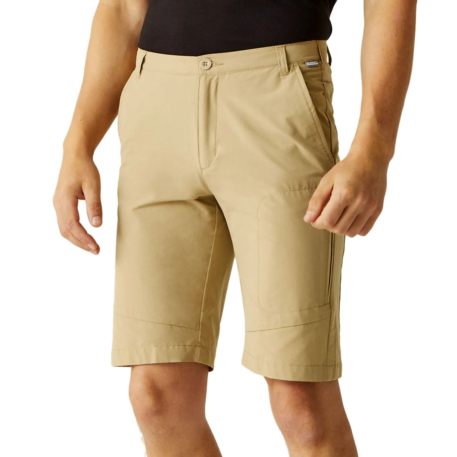 Regatta Mens Highton Long Cargo Walking Shorts